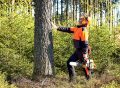 usuwanie-drzew-smiertelny-wypadek-pracownika