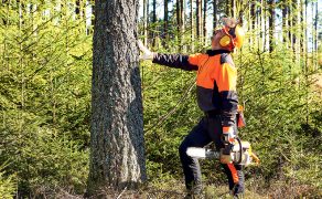 usuwanie-drzew-smiertelny-wypadek-pracownika