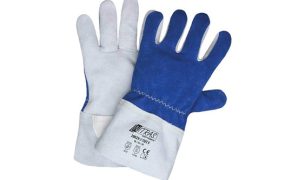 PRO_7-8_25_PRZEGLAD_POROWNAWCZY_REKAWICE_CHRONIACE_FOT_4_Nitras_Cut_20029