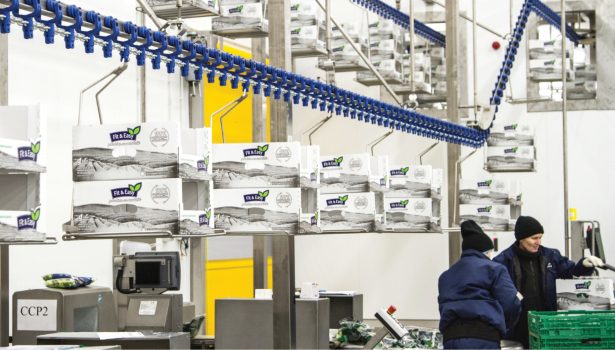 Promotor_101_DOBRYCH_PRAKTYK_BHP_2_GREEN_FACTORY_FOT_3