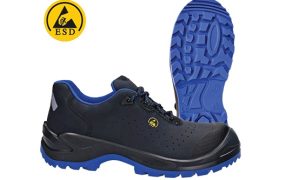 blue-1161-esd-fagum-stomil