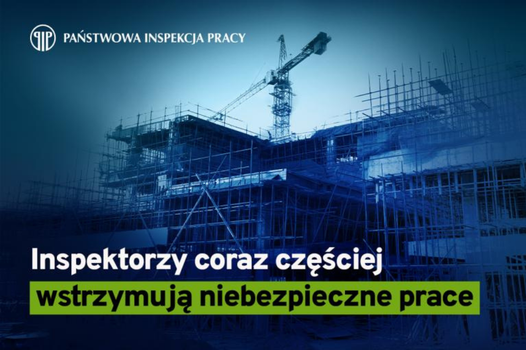 Źródło: Państwowa Inspekcja Pracy