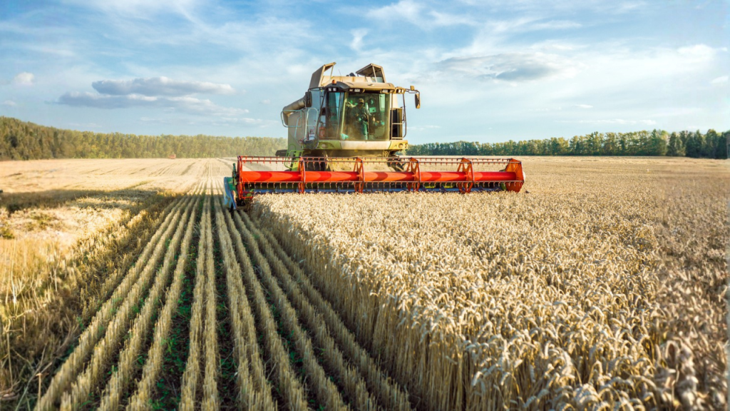 Bezpieczeństwo pracy w rolnictwie